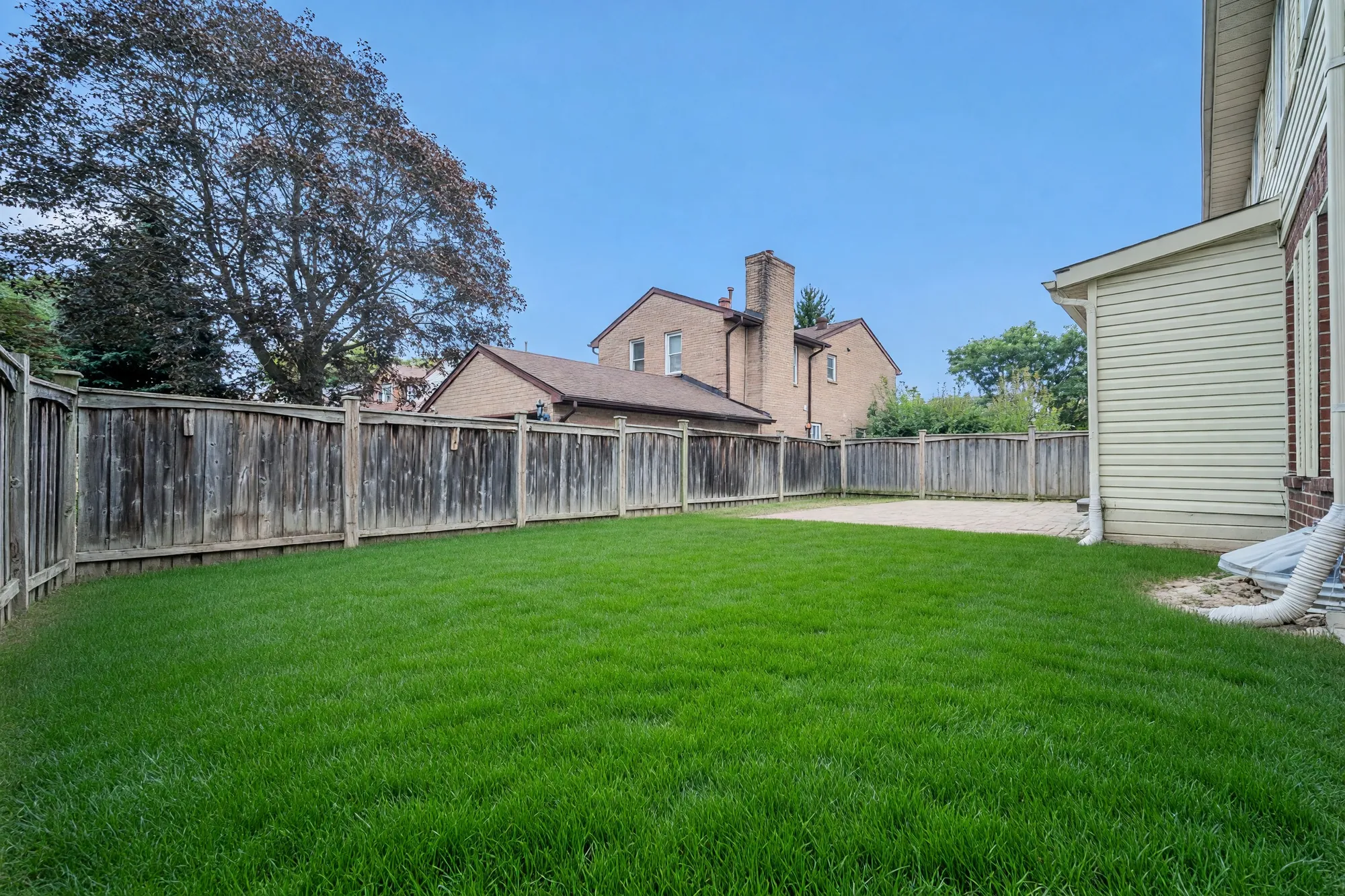 The back yard toward the fence: the lawn, the wooden fence, the neighbouring houses and trees beyond, the side of the house at the right